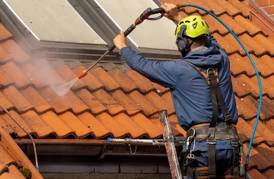 Démoussage et hydrofuge de toiture à Grandjean